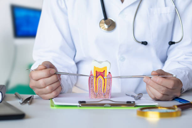 Best Emergency Dental Surgery in Charleston, MO